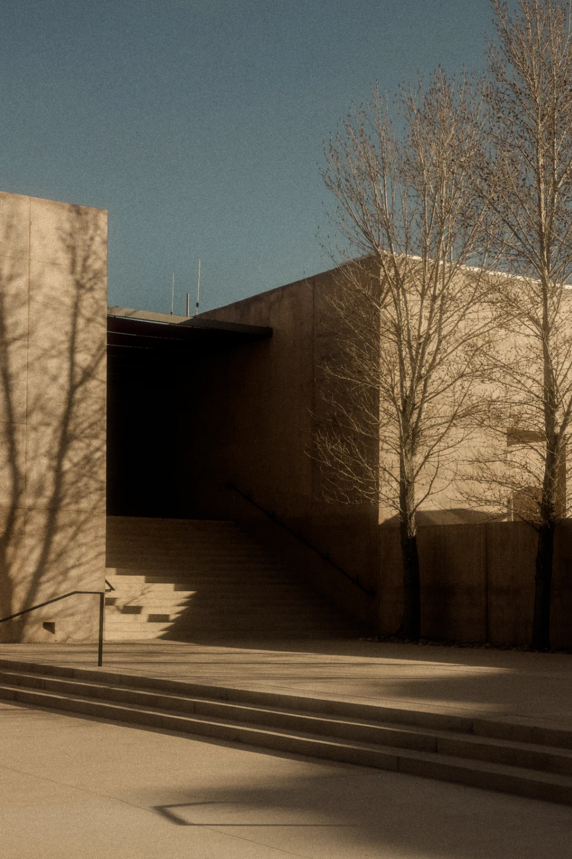 Lush landscape design